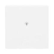 Wippe 1-fach, Symbol Licht studioweiß 6231-10-84 