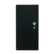 Wippe 2-f li, Symbol Licht anthrazit 6231-21-81 