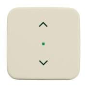 Wippe 1-fach, Symbol Licht weiß 6232-10-212 