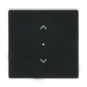 morepic-1