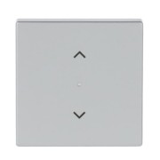 Wippe 1-f Symbol Jalousie alusilber 6232-10-83 