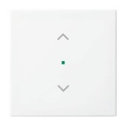 Wippe aws Busch-balance SI 6232-10-914 