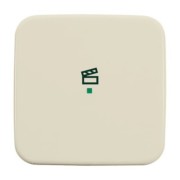 Wippe 1-fach, Symbol Licht weiß 6233-10-212 