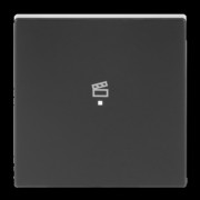 Wippe 1-f Symbol Szene anthrazit 6233-10-81 