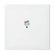 Wippe aws Busch-balance SI 6233-10-914 