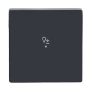 Wippe 1-f Symbol Dimmer anthrazit 6234-10-81 