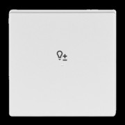 Wippe 1-f Symbol Dimmer alusilber 6234-10-83 