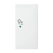 Wippe aws Busch-balance SI 6234-22-914 