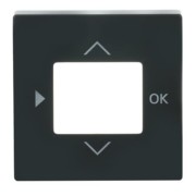 Zentralscheibe anth f.Timer-Bedienelem. 6435-81 