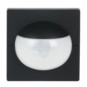 morepic-1