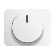 Zentralscheibe stws gl für Drehdimmer 6540-24G 