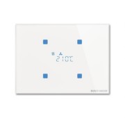 Touch-Raumtemperaturegler TR/U.2.11-CG 