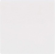Wippe aws Busch-balance SI 2506-914 