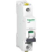 LS-Schalter 1P 10A C IC60N A9F04110 