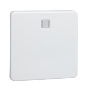 Wippe rw f.bel.Tast./Schalter 213614 