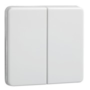 Wippe rw Serie u.Doppeltaster 233504 