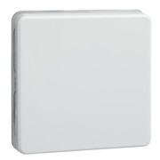 Wippe rw f.Taster/Schalter 233604 