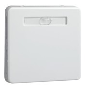 Wippe rw f.Taster/Schalter 233614 
