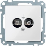Steckdosen-Einsatz pws/gl Potentialausgleich 290419 