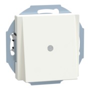 Zentralplatte pws/gl Leitungsauslass 296319 