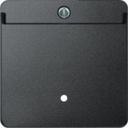 Card-Schalter anth beleuchtbar 315414 