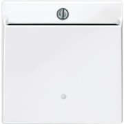 Card-Schalter pws/gl beleuchtbar 315619 
