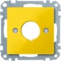 morepic-1