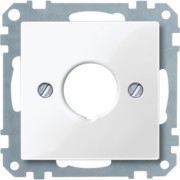 Zentralplatte pws/gl für Befehlsgerät 393819 