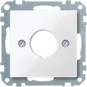 morepic-1