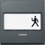Wippe Kontr.Fenster anth mit Schriftfeld 434614 