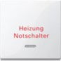 morepic-1