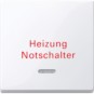 morepic-1