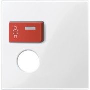 Zentralplatte pws/gl für Rufmodul 450219 
