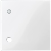 Zentralplatte pws/gl für Zugtaster 450719 
