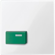 Zentralplatte pws/gl für Abstelltaster gn 451519 