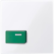 Zentralplatte aws/gl für Abstelltaster gn 451525 