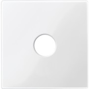 Zentralplatte pws/gl für Anschlusseinheit 451819 
