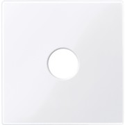 Zentralplatte aws/gl für Anschlusseinheit 451825 