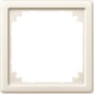 morepic-1