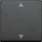 morepic-1