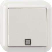 Taster Wechsel mit O-Licht 1-polig polarweiß AP MEG3160-8719 