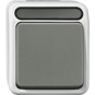 morepic-1