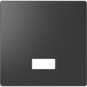 morepic-1
