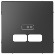 Zentralplatte anth f.USB Ladest.Einsatz MEG4367-6034 