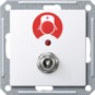 morepic-1