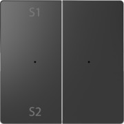 Wippe f. Tastermodul 2f. Szene1/2 blank anth MEG5226-6034 