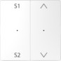 morepic-1