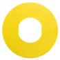 morepic-1