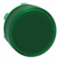 morepic-1