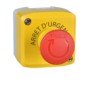 morepic-1
